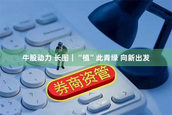 牛股动力 长图｜“植”此青绿 向新出发