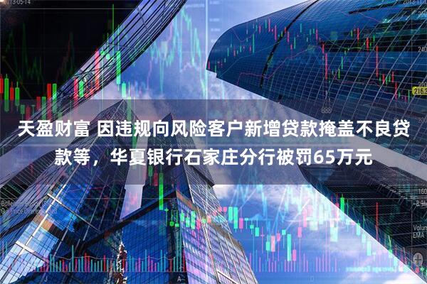 天盈财富 因违规向风险客户新增贷款掩盖不良贷款等，华夏银行石家庄分行被罚65万元