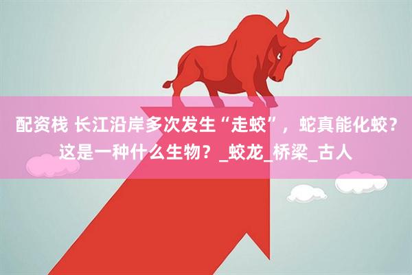 配资栈 长江沿岸多次发生“走蛟”，蛇真能化蛟？这是一种什么生物？_蛟龙_桥梁_古人