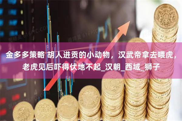 金多多策略 胡人进贡的小动物，汉武帝拿去喂虎，老虎见后吓得伏地不起_汉朝_西域_狮子