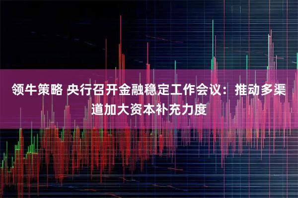 领牛策略 央行召开金融稳定工作会议：推动多渠道加大资本补充力度