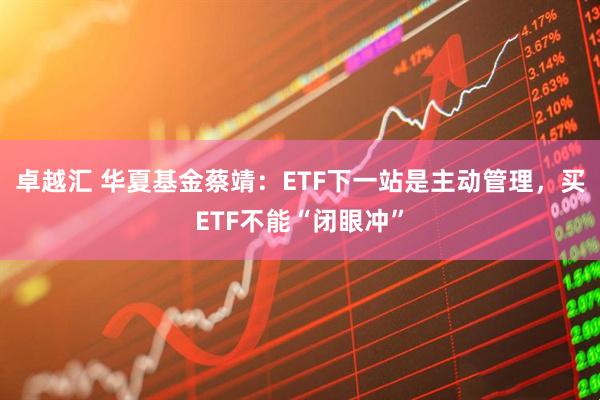 卓越汇 华夏基金蔡靖：ETF下一站是主动管理，买ETF不能“闭眼冲”